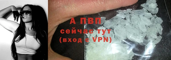 a pvp Белокуриха