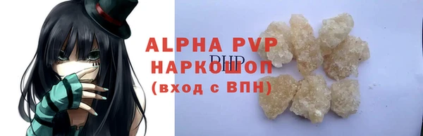 индика Богданович